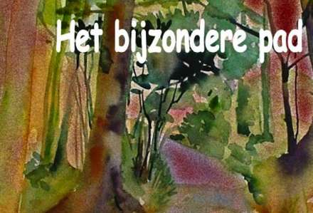 Het bijzondere pad Het bijzondere pad